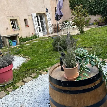 L'atelier D'olga - Homillesime Digione