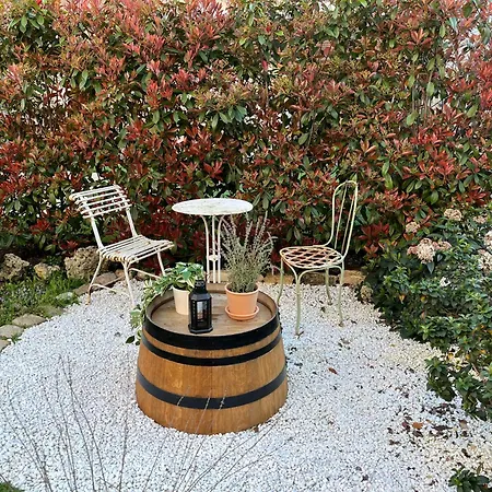 L'atelier D'olga - Homillesime