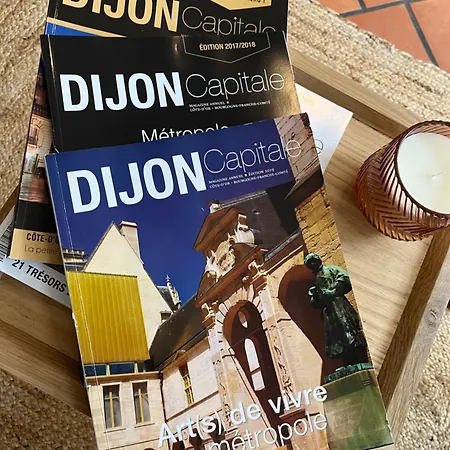 Apartamento L'atelier D'olga - Homillesime Dijon