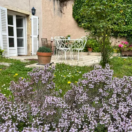 L'atelier D'olga - Homillesime *