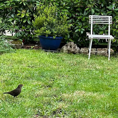 Appartamento L'atelier D'olga - Homillesime