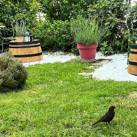 Appartamento L'atelier D'olga - Homillesime