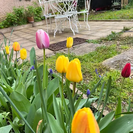 L'atelier D'olga - Homillesime Διαμέρισμα Ντιζόν