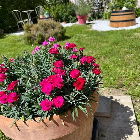 L'atelier D'olga - Homillesime Ντιζόν