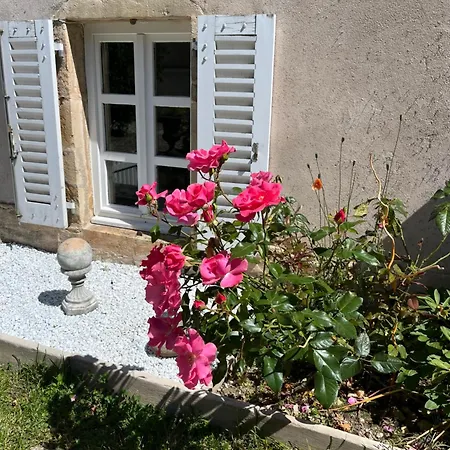 L'atelier D'olga - Homillesime *