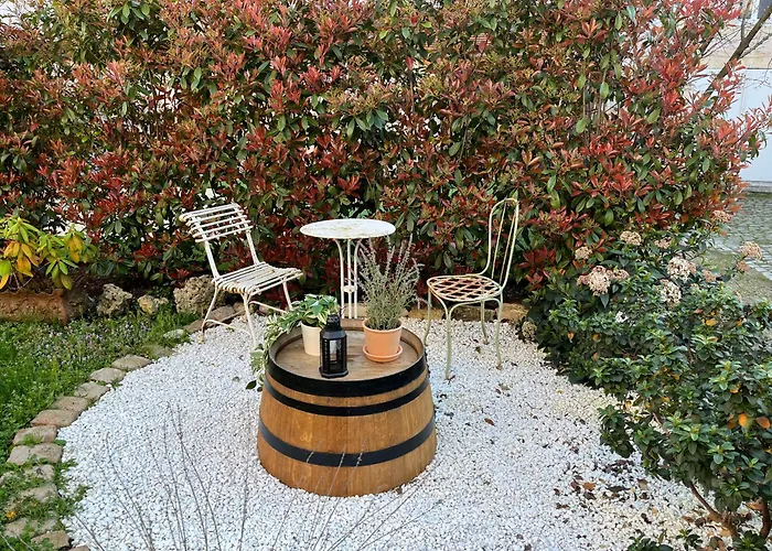 L'atelier D'olga - Homillesime