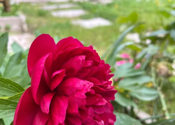 L'atelier D'olga - Homillesime * 第戎