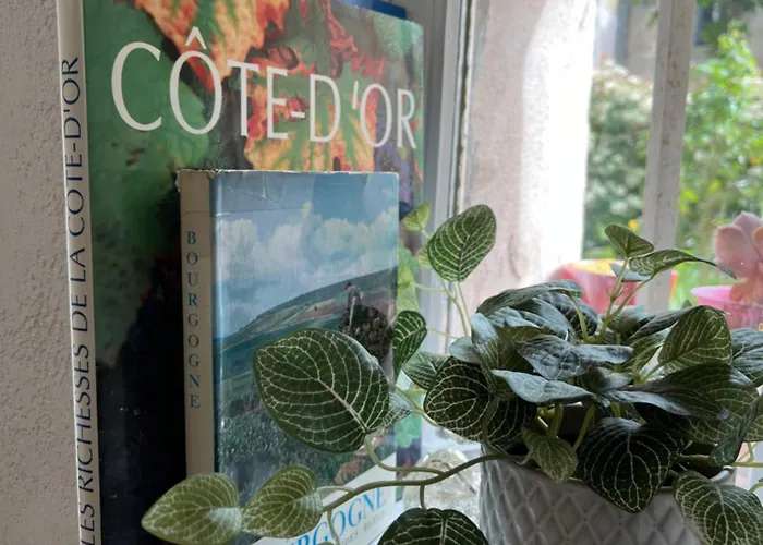 L'atelier D'olga - Homillesime