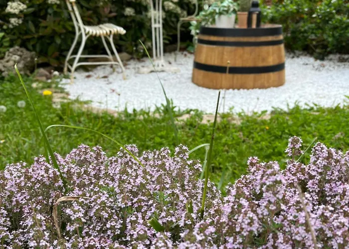 L'atelier D'olga - Homillesime Apartment