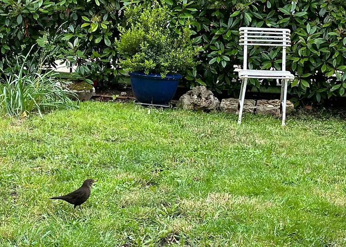 公寓 L'atelier D'olga - Homillesime