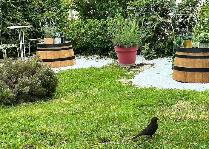 公寓 L'atelier D'olga - Homillesime