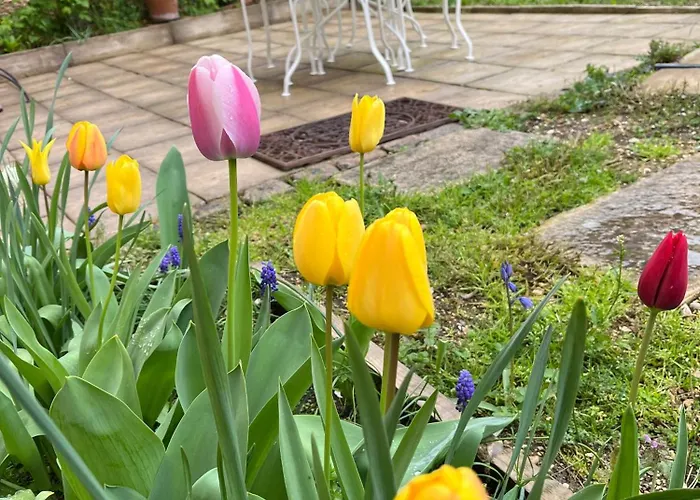 L'atelier D'olga - Homillesime 公寓 第戎