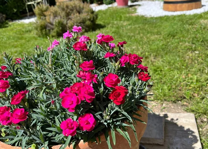 L'atelier D'olga - Homillesime Dijon