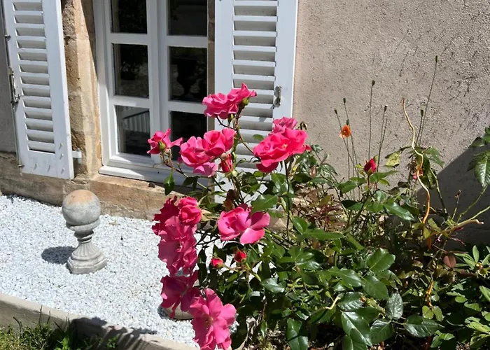 L'atelier D'olga - Homillesime *